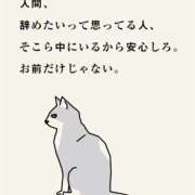 ヒメ日記 2025/04/09 18:03 投稿 ルル キャンディ(鹿児島)