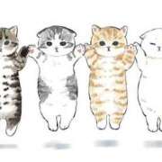 ヒメ日記 2025/05/09 22:27 投稿 ルル キャンディ(鹿児島)