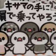 ヒメ日記 2026/03/12 23:15 投稿 ルル キャンディ(鹿児島)