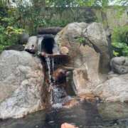 ヒメ日記 2025/07/05 22:00 投稿 れいこ 激情団地妻