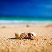 ヒメ日記 2025/07/20 22:01 投稿 れいこ 激情団地妻