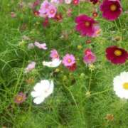 ヒメ日記 2025/10/22 17:01 投稿 れいこ 激情団地妻