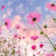 ヒメ日記 2025/11/02 22:00 投稿 れいこ 激情団地妻