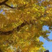 ヒメ日記 2024/12/14 16:16 投稿 アサミ アリスマリオン