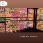 ヒメ日記 2024/12/14 17:31 投稿 アサミ アリスマリオン