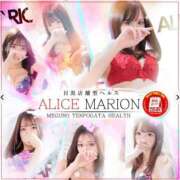 ヒメ日記 2024/12/29 10:16 投稿 アサミ アリスマリオン