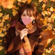 ヒメ日記 2025/11/20 17:31 投稿 アサミ アリスマリオン