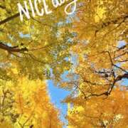 ヒメ日記 2025/11/28 09:16 投稿 アサミ アリスマリオン