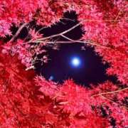 ヒメ日記 2025/12/06 23:16 投稿 アサミ アリスマリオン