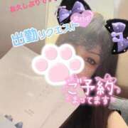 ヒメ日記 2025/04/28 16:45 投稿 かんな 吉祥寺大人めシンデレラ（シンデレラグループ）