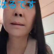 ヒメ日記 2025/04/26 14:03 投稿 はる 小岩人妻花壇