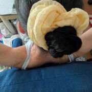 はる 最近ハマってます。 小岩人妻花壇