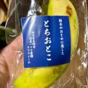 ヒメ日記 2024/12/18 11:29 投稿 凜（りん） 男爵