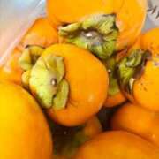 ヒメ日記 2025/10/31 22:59 投稿 凜（りん） 男爵