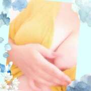 ヒメ日記 2025/08/24 10:05 投稿 つばさ 熟女総本店