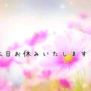 ヒメ日記 2025/11/13 12:45 投稿 つばさ 熟女総本店