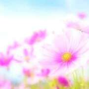 ヒメ日記 2026/02/11 09:52 投稿 つばさ 熟女総本店