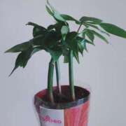 ヒメ日記 2025/03/01 19:58 投稿 大谷 ピュアグレイス