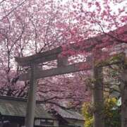 ヒメ日記 2025/03/18 19:20 投稿 大谷 ピュアグレイス