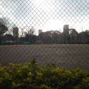 ヒメ日記 2025/03/26 20:16 投稿 大谷 ピュアグレイス