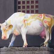 ヒメ日記 2025/04/27 22:18 投稿 大谷 ピュアグレイス