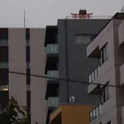 ヒメ日記 2025/05/20 19:40 投稿 大谷 ピュアグレイス