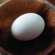 ヒメ日記 2025/07/16 20:30 投稿 大谷 ピュアグレイス