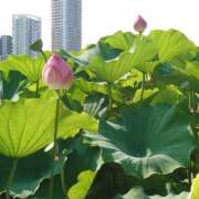 ヒメ日記 2025/07/27 20:14 投稿 大谷 ピュアグレイス