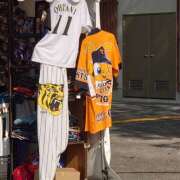 ヒメ日記 2025/07/29 20:16 投稿 大谷 ピュアグレイス