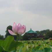 ヒメ日記 2025/08/09 20:10 投稿 大谷 ピュアグレイス