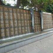 ヒメ日記 2025/08/13 19:34 投稿 大谷 ピュアグレイス