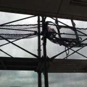 ヒメ日記 2025/08/20 20:04 投稿 大谷 ピュアグレイス