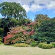 ヒメ日記 2025/10/30 20:44 投稿 大谷 ピュアグレイス