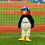 ヒメ日記 2025/11/27 19:52 投稿 大谷 ピュアグレイス