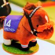 ヒメ日記 2025/12/20 19:34 投稿 大谷 ピュアグレイス