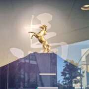 ヒメ日記 2026/01/11 20:10 投稿 大谷 ピュアグレイス