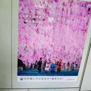 大谷 ありがとうございました ピュアグレイス