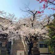 大谷 ありがとうございました ピュアグレイス