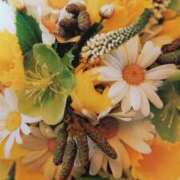 ヒメ日記 2025/02/10 23:52 投稿 美神 ピュアグレイス