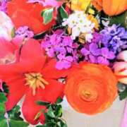 ヒメ日記 2025/02/23 23:30 投稿 美神 ピュアグレイス