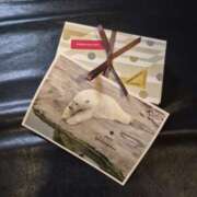 ヒメ日記 2026/04/13 22:15 投稿 あんり ハロウィン