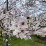 ヒメ日記 2025/03/27 16:18 投稿 まなみ 逢いたくて