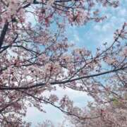 ヒメ日記 2025/04/05 01:38 投稿 妃  白百合 AMOUR（アムール）