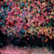 ヒメ日記 2025/08/16 02:36 投稿 妃  白百合 AMOUR（アムール）