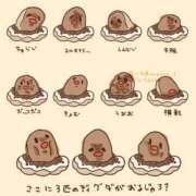 ヒメ日記 2024/12/20 11:04 投稿 ナオ AMOUR（アムール）