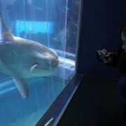 ヒメ日記 2025/03/16 19:05 投稿 ナオ AMOUR（アムール）