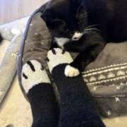 ヒメ日記 2025/03/18 16:13 投稿 ナオ AMOUR（アムール）