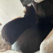 ヒメ日記 2025/07/14 23:29 投稿 ナオ AMOUR（アムール）