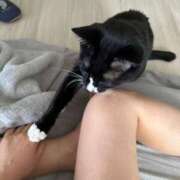 ヒメ日記 2025/08/15 11:30 投稿 ナオ AMOUR（アムール）