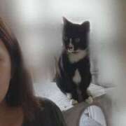 ヒメ日記 2025/08/15 20:23 投稿 ナオ AMOUR（アムール）